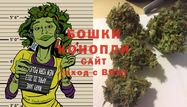 гидропоника Горняк