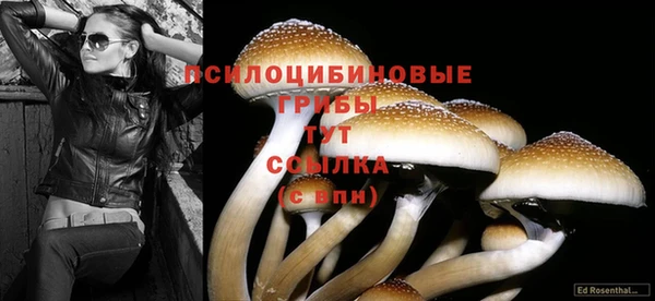 ПСИЛОЦИБИНОВЫЕ ГРИБЫ Горнозаводск