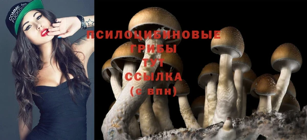 гидропоника Горняк