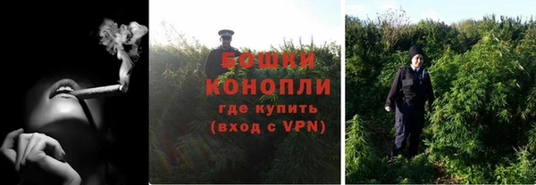 ПСИЛОЦИБИНОВЫЕ ГРИБЫ Горнозаводск