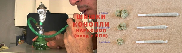 ПСИЛОЦИБИНОВЫЕ ГРИБЫ Горнозаводск