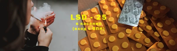 ПСИЛОЦИБИНОВЫЕ ГРИБЫ Горнозаводск