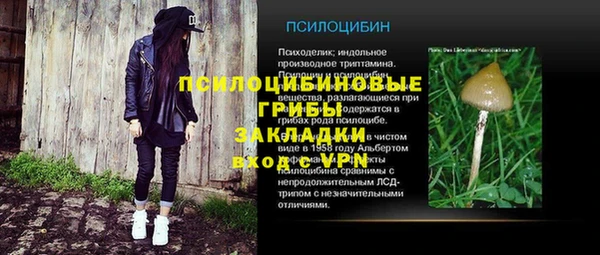 винт Горно-Алтайск