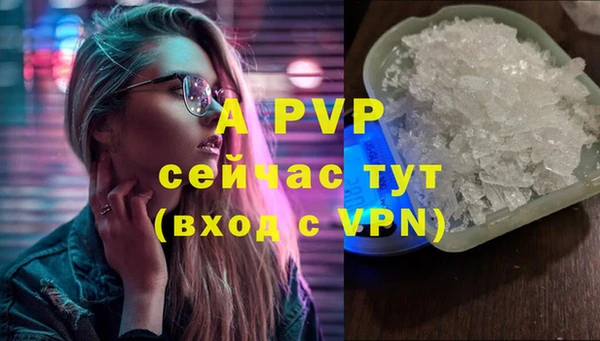 ПСИЛОЦИБИНОВЫЕ ГРИБЫ Горнозаводск