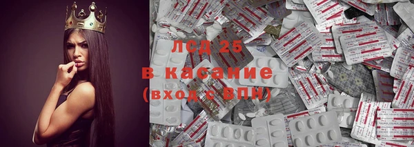 гидропоника Горняк