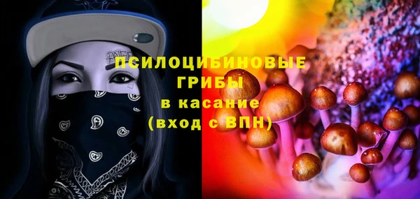 гидропоника Горняк