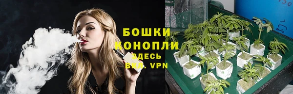 винт Горно-Алтайск