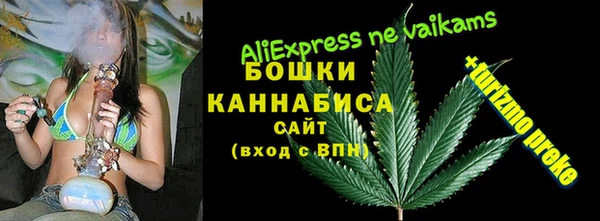 ПСИЛОЦИБИНОВЫЕ ГРИБЫ Горнозаводск